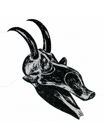 Символ быка в Африке