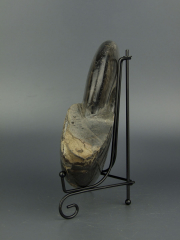 Окаменелый черный аммонит Cleoniceras (Мадагаскар)