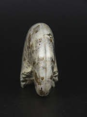 Аммонит Phylloceras [9x7 см], Мадагаскар